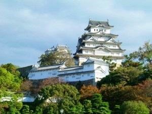 Japan-Hyogo-Toby Oxborrow