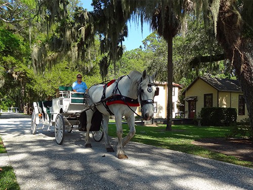 -DSC09382-Jekyll-carriages