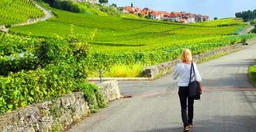 The Stunning Lavaux Vineyards, the Best in Switzerland