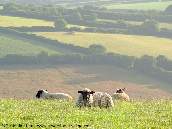 Foto Friday - England - dawn on the British countryside--DSCN6766---