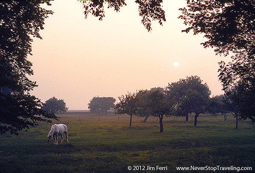 Foto Friday - a horse in a pasture, Normandy. France