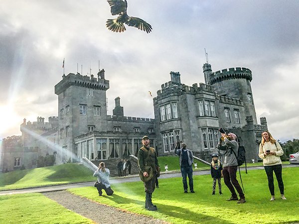 Foto Friday - a falcon flying by people outside a castle