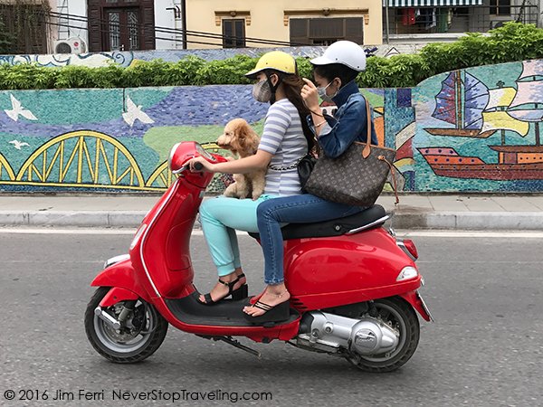 Foto Friday - a couple and a dog on a motor scotter