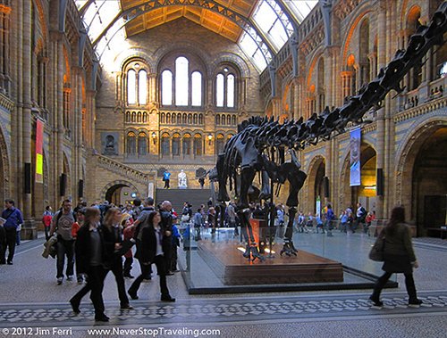 Foto Friday - Museum of Natural History, London, England