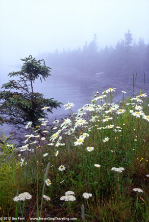 Foto Friday - Nova Scotia coast, Canada