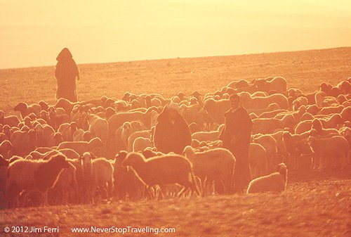 Foto Friday - Shepherds in the Morocco sountryside