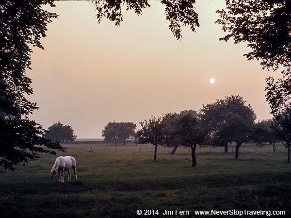 Foto Friday - France -Normandy pasture---600FF