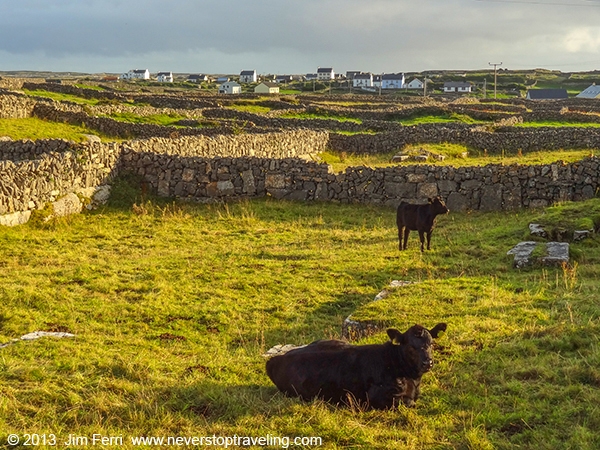 Foto Friday - Ireland - Aran Islands pastures-DSC00079--B