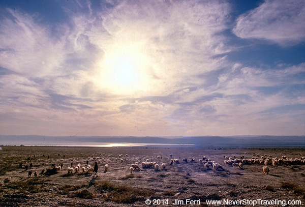 Foto Friday - Jordan- Dead Sea shepherd -- 600FF copy