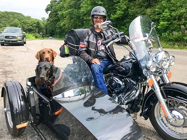 Foto Friday - a man on a motorcycle with dogs in a sidecar