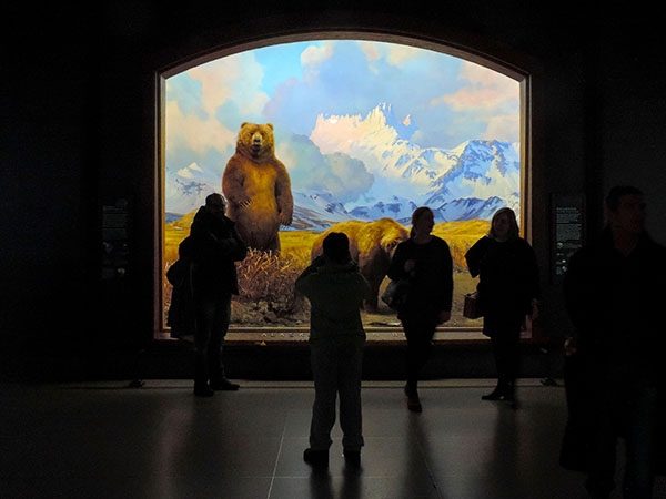 Foto Friday - people in front of a museum exhibit with a bear