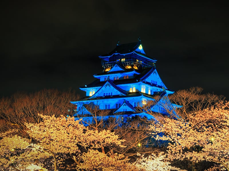 a castle at night in Japan