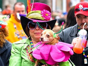 mardi gras in Soulard St. Louis