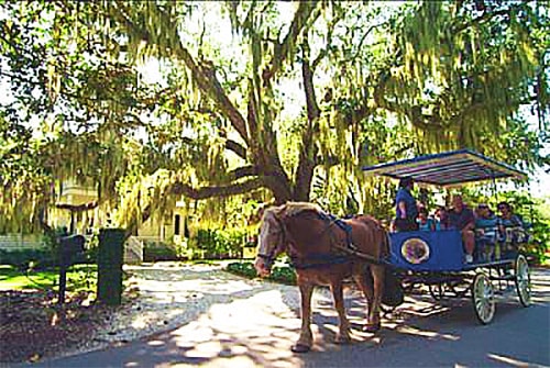 Carriage tour in the city of Beaufort, SC