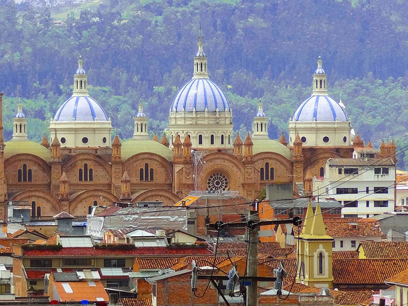 domes of a cathedral in a skyline see while eating guinea pig