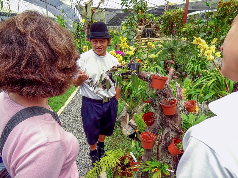 orchid farm in Gualaceo, Ecuador