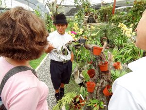 people in an orchid farm outside Cuence Ecuadro