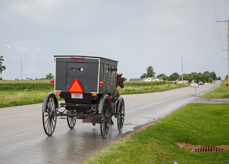 a horse and buggy on a road in Indiana Amish country