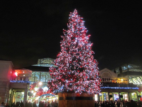 The "Kissing Tree" Christmas in London