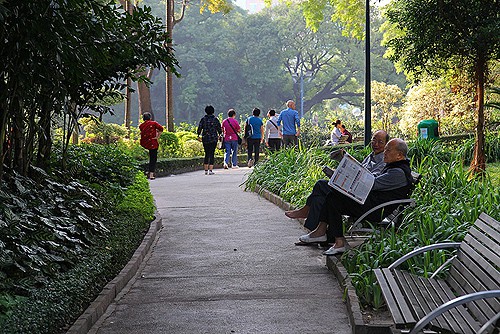 people in a park