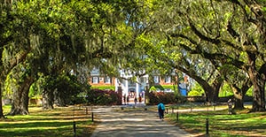 Charleston's Boone Hall Plantation