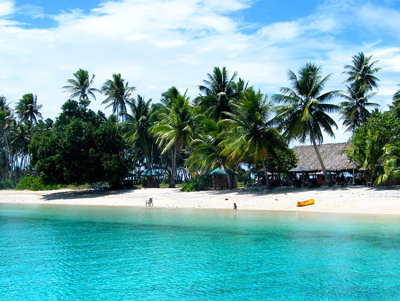 people on a beach