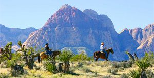 Las Vegas is Cowboy Trail Rides
