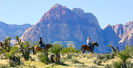 Las Vegas is Cowboy Trail Rides