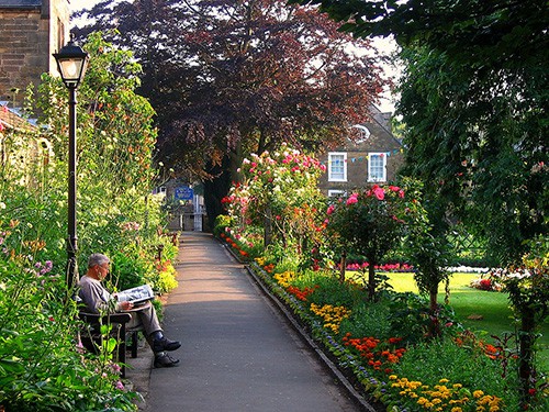 Late June in the Bath Gardens, Bakewell, Derbyshire / photo: JR P 