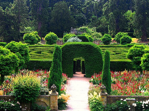 The Maze at Chatsworth / photo: JR P English garden tours