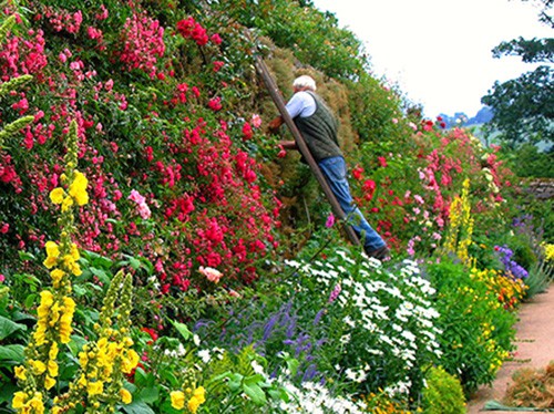 Haddon Hall, Derbyshire / English garden tours