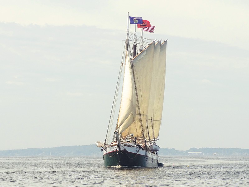a hip under sail on windjammers in maine