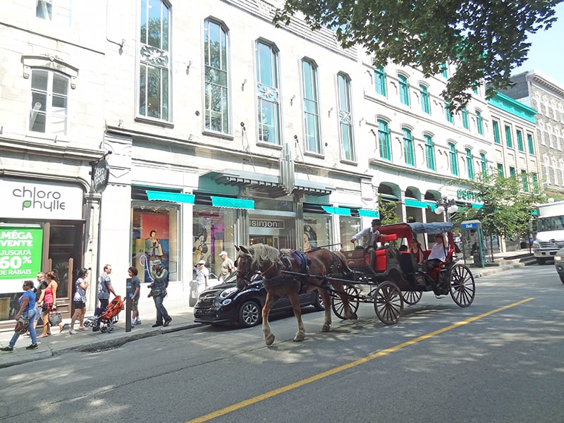 A hourse and carriage on a street during a tour of Quebec