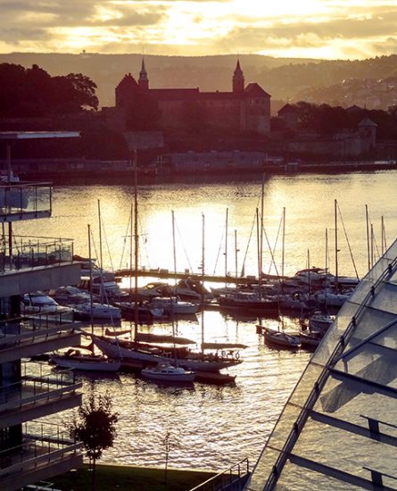 sailboats in harbor at sunset