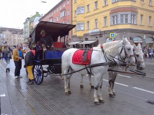 a horse-drawn carriage, one of the things to do in
