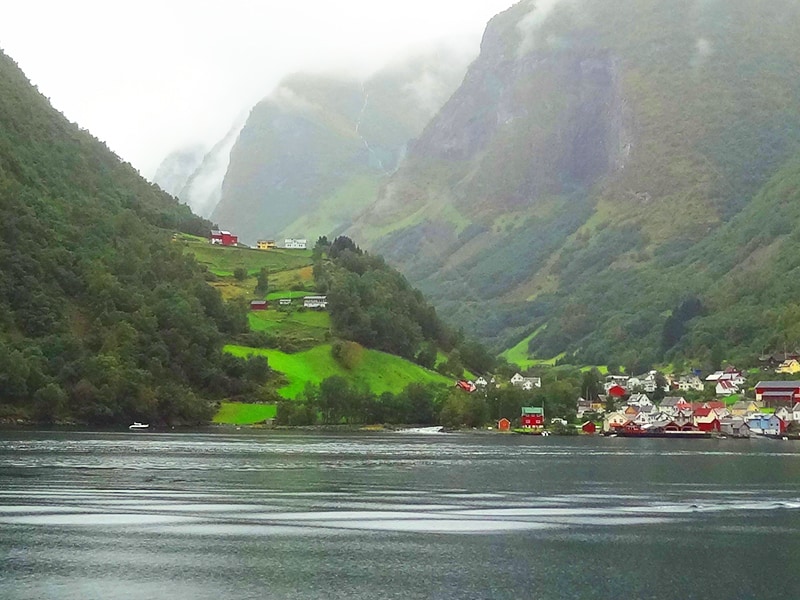a town on a bay seen on fjord tours