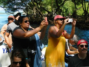 Eco-tourists in Samana mangroves in Dominican Republic 