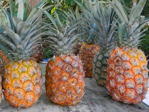 Sweet Dominican pineapples in Samana Dominican Republic / photo: Carla Marie Rupp