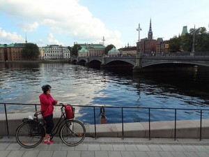 a bicyclist standing on a bridge near a lake