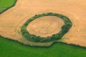 circle of trees