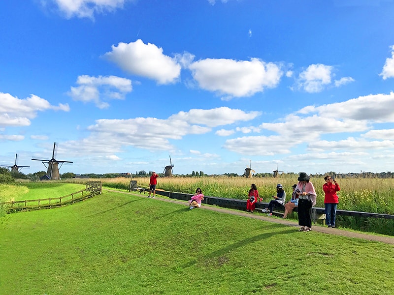 people on fields by windmills in  Kinderdijk seen during day trips from Amsterdam