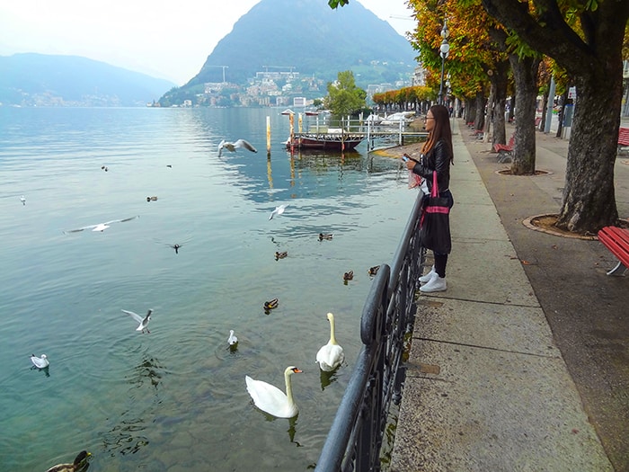 woman looking at swans on a lake, one of the best things to do in Lugano Switzerland