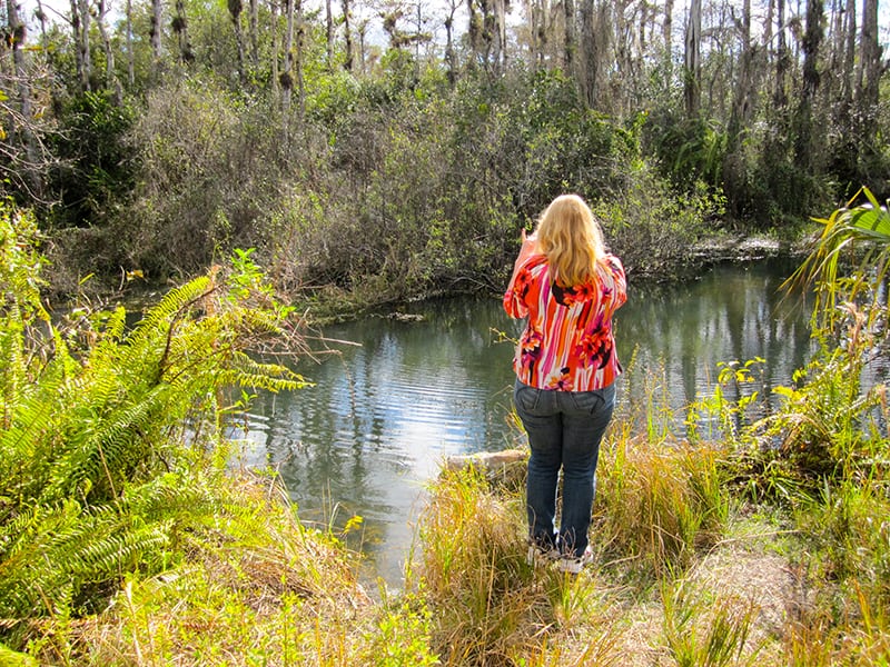 a woman in Floridas Everglades - Florida’s Real Alligator Alley