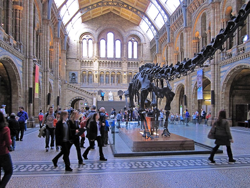 people visiting the Museum of Natural History, one of teh best things to do in London