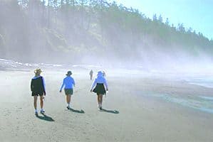 people walking along the beach in Olympic National park