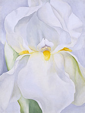 White Iris No. 7 in New Mexico / photo: Museo Thyssen-Bornemisza - Georgia O’Keeffe New Mexico 