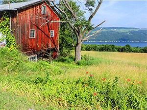 a red barn –  things to do in the Finger Lakes