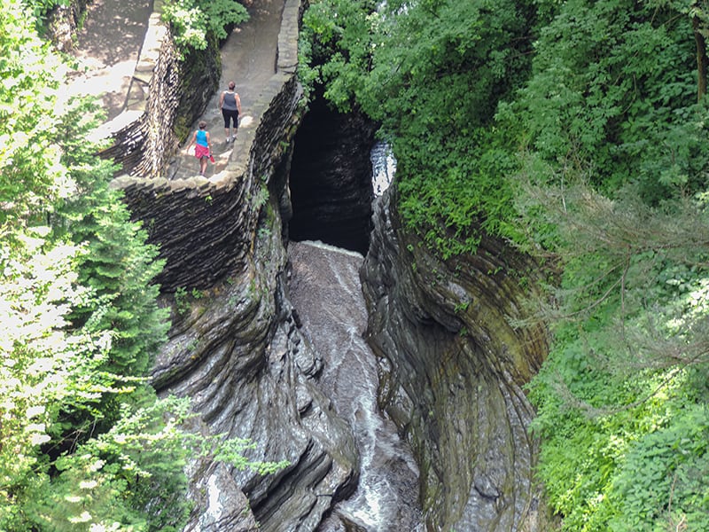 people in a park - things to do in the Finger Lakes