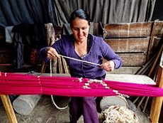 Weaver in the Gualaceo Valley, Ecuador