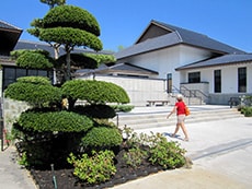 woman walkning up steps outside past landscaped trees 